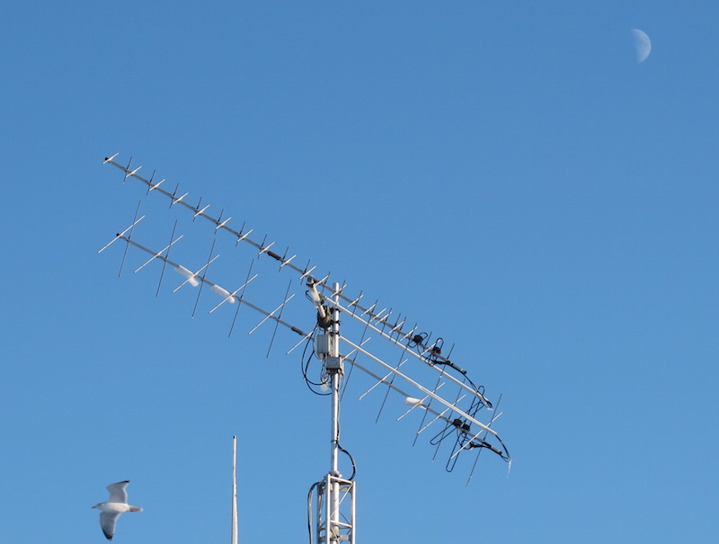Antenne-seagull