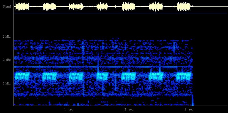 Spectogram Amtor